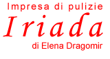 Impresa di pulizie IRIADA a Verolanuova in provincia di Brescia